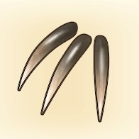 凶悪なツメ