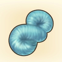 海糸
