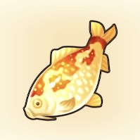 黄金ニシキゴイ