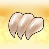 巨大なツメ