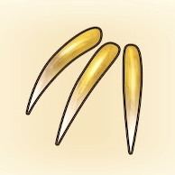 するどいツメ