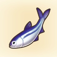 ワカサギ