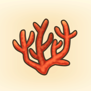 うつくしいサンゴ