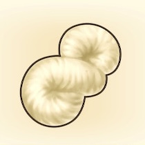 絹糸