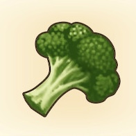 ブロッコリ