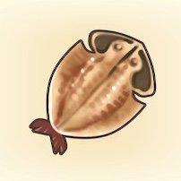 ナツココ干物