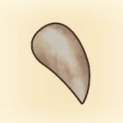 けもののキバ