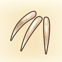 けもののツメ