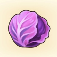 ムラサキキャベツ