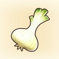 まっしろタマネギ