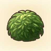 平原のヌシコケ