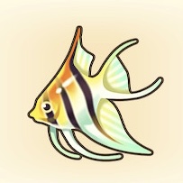 エンゼルフィッシュ